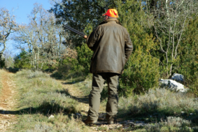 L’assessore regionale all’Agricoltura Marco Remaschi dice no all’appello del ministro dell’Ambiente Sergio Costa che punta a cancellare la domenica dal calendario venatorio